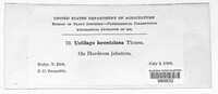 Image Associated With the Occurence